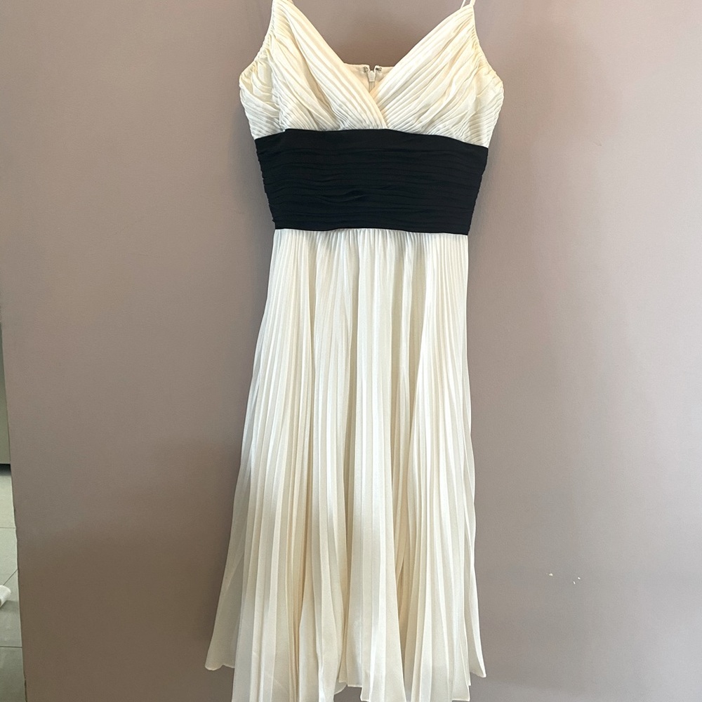Beautiful Jones New York Silk Dress